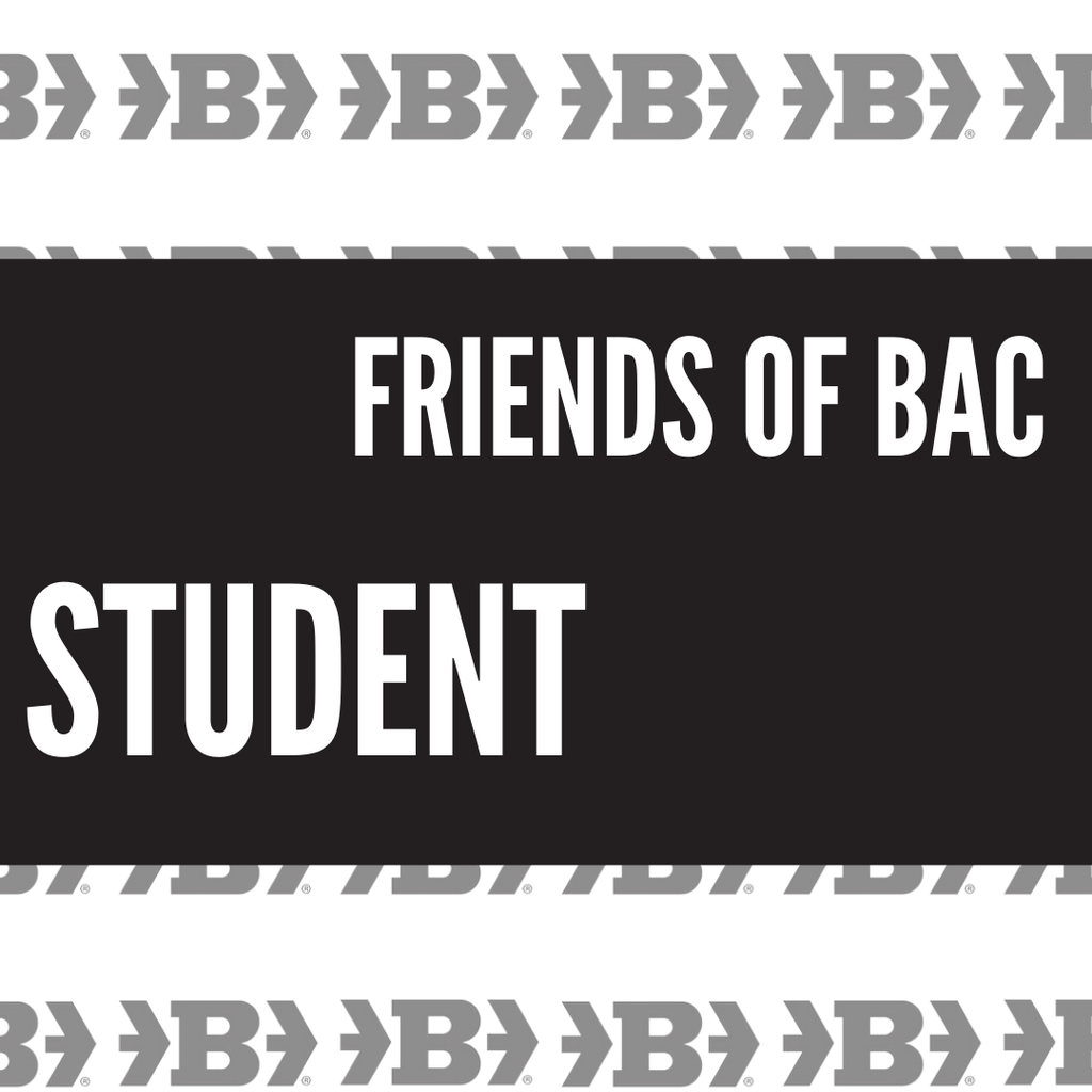 Friends of Belger Arts Program