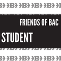 Friends of Belger Arts Program
