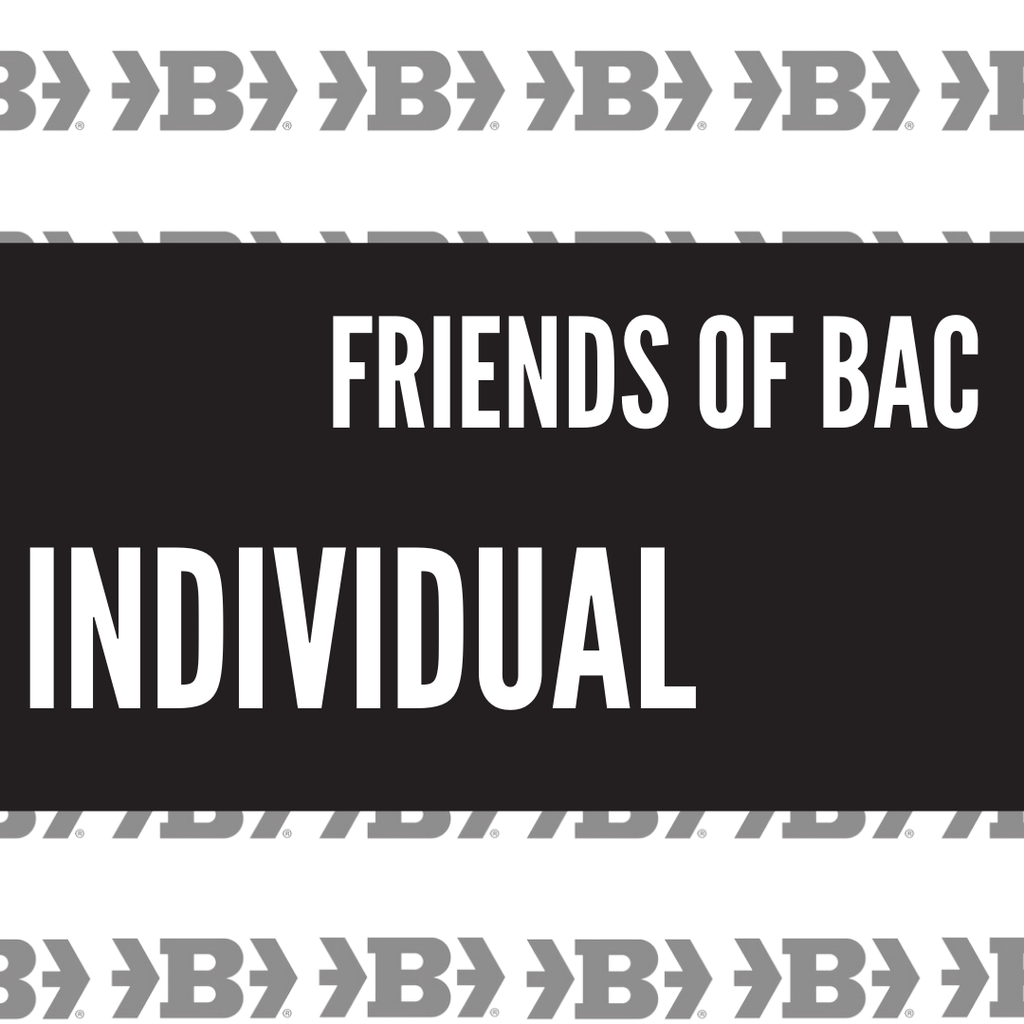 Friends of Belger Arts Program