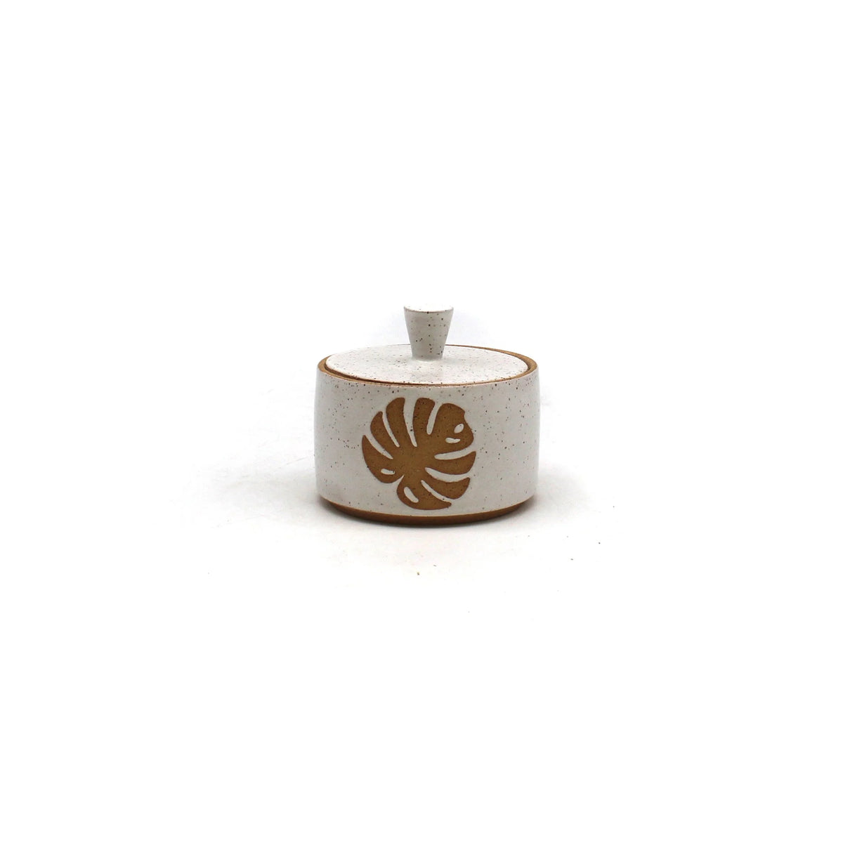 Monstera Jar