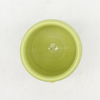 Lime Cocktail Cup