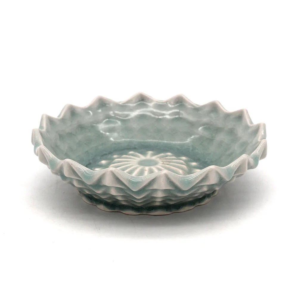 Dish