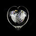 Glass Heart