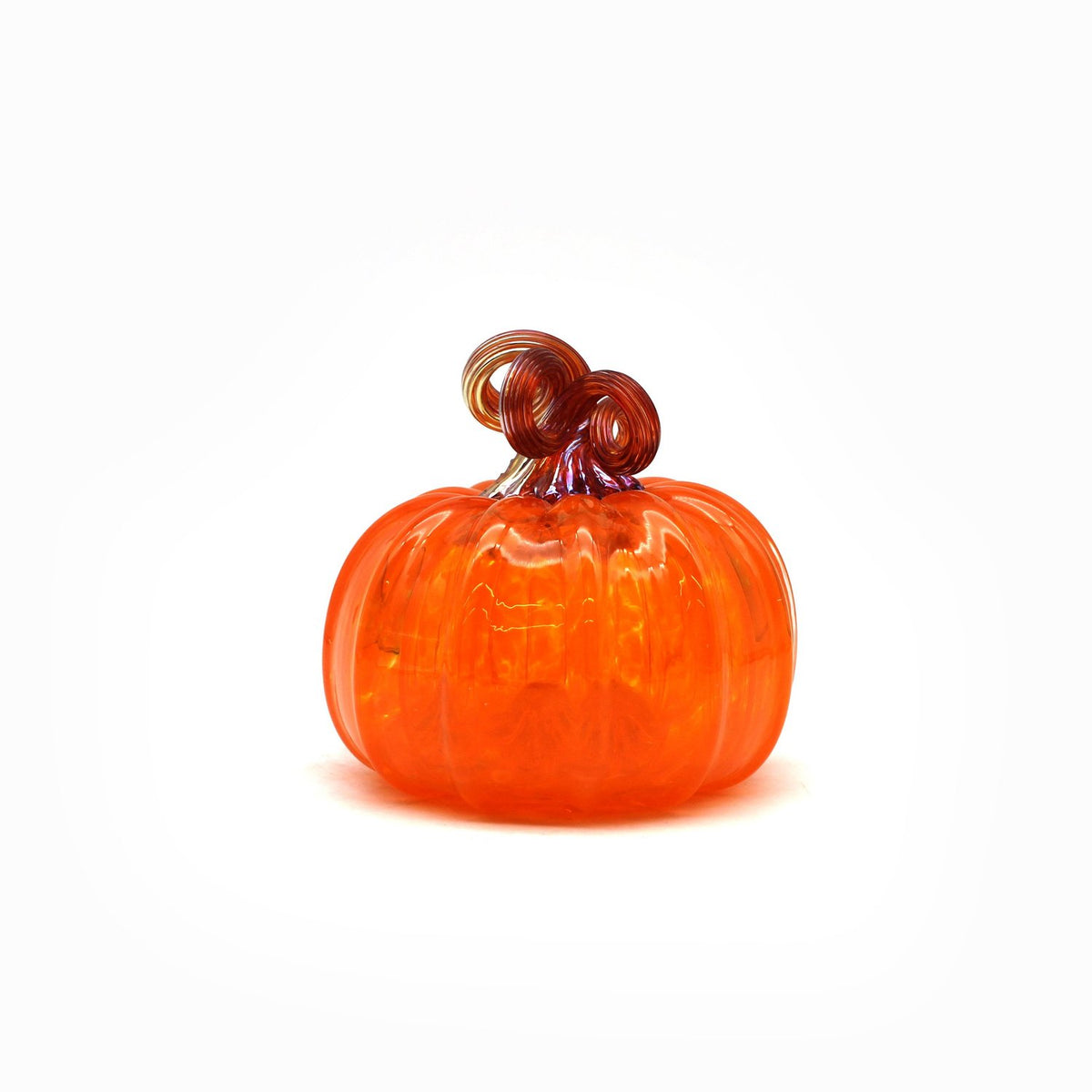 BGA Large Pumpkins