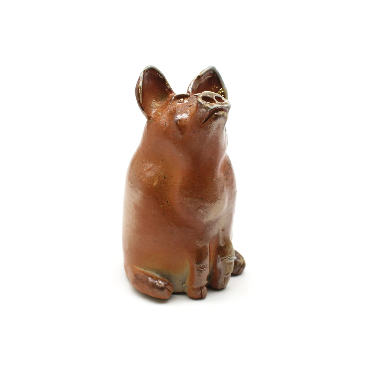 Angry Pig brown