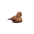 Walrus Brown