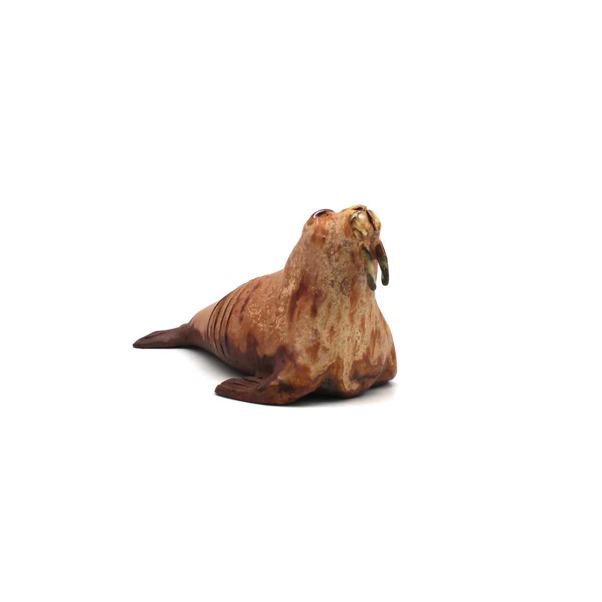 Walrus Brown