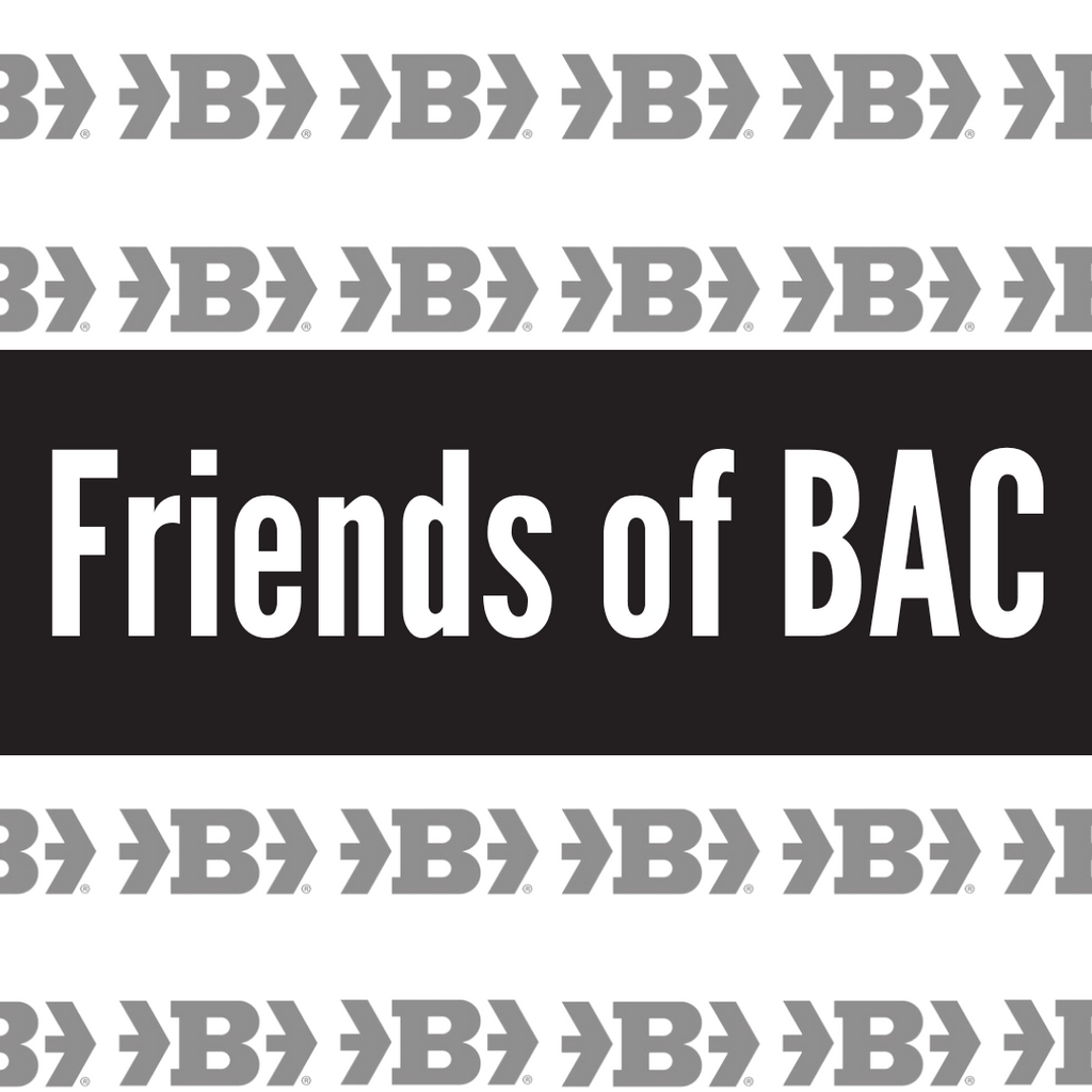 Friends of Belger Arts Program