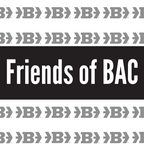 Friends of Belger Arts Program