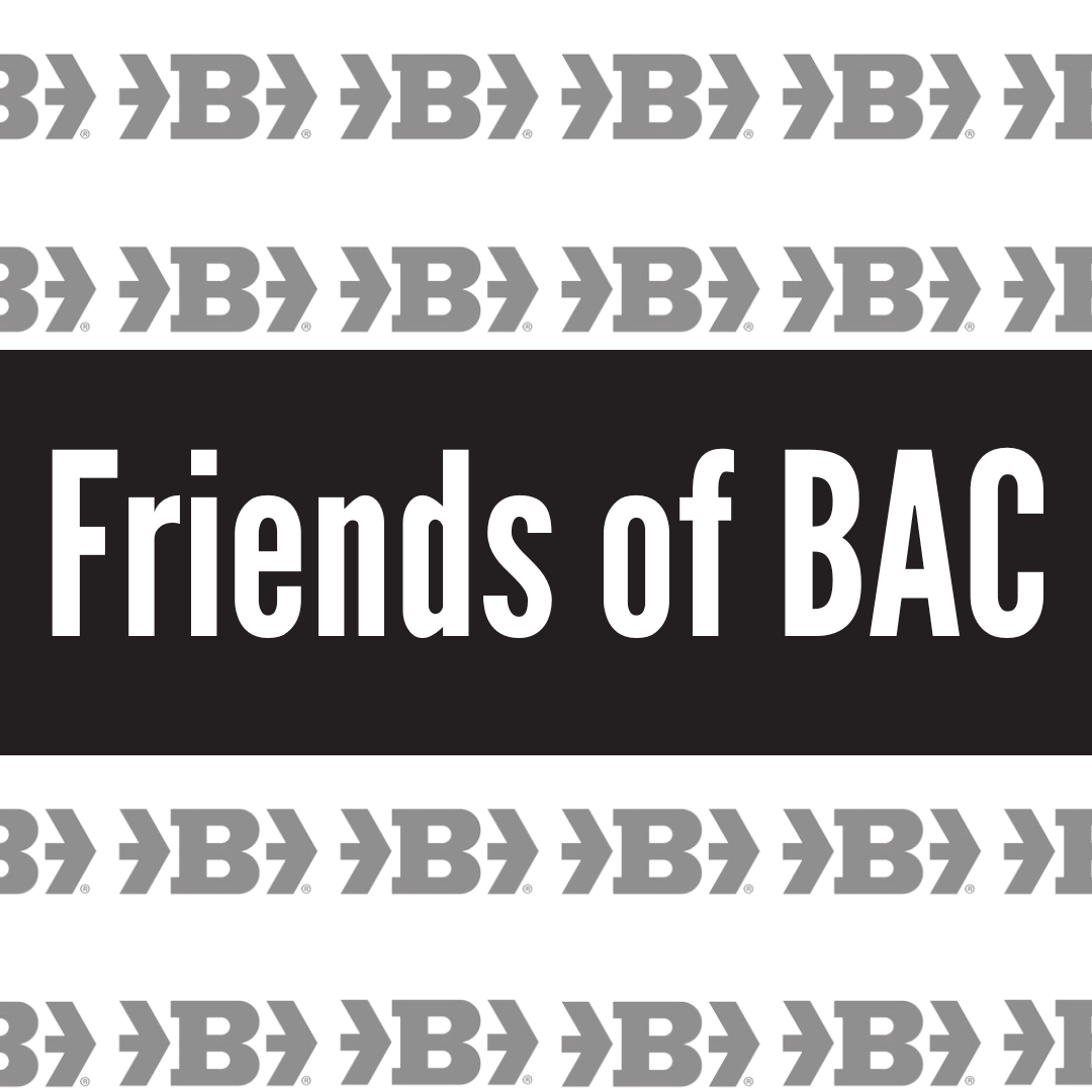Friends of Belger Arts Program