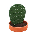 Medium Cactus
