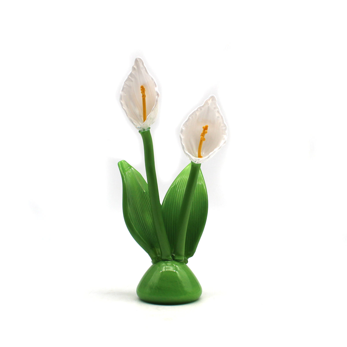 Calla Lily
