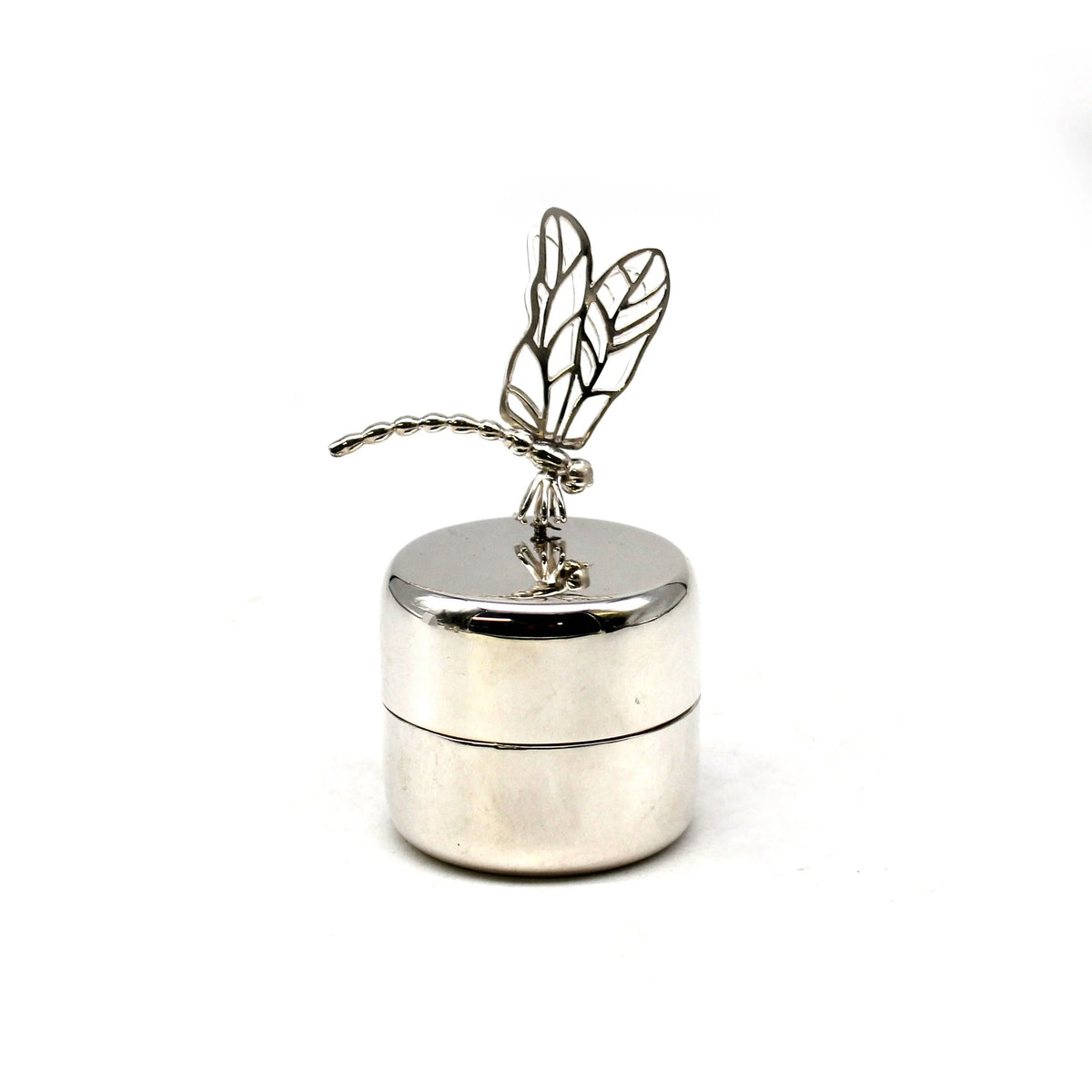 Dragonfly pin on silver container