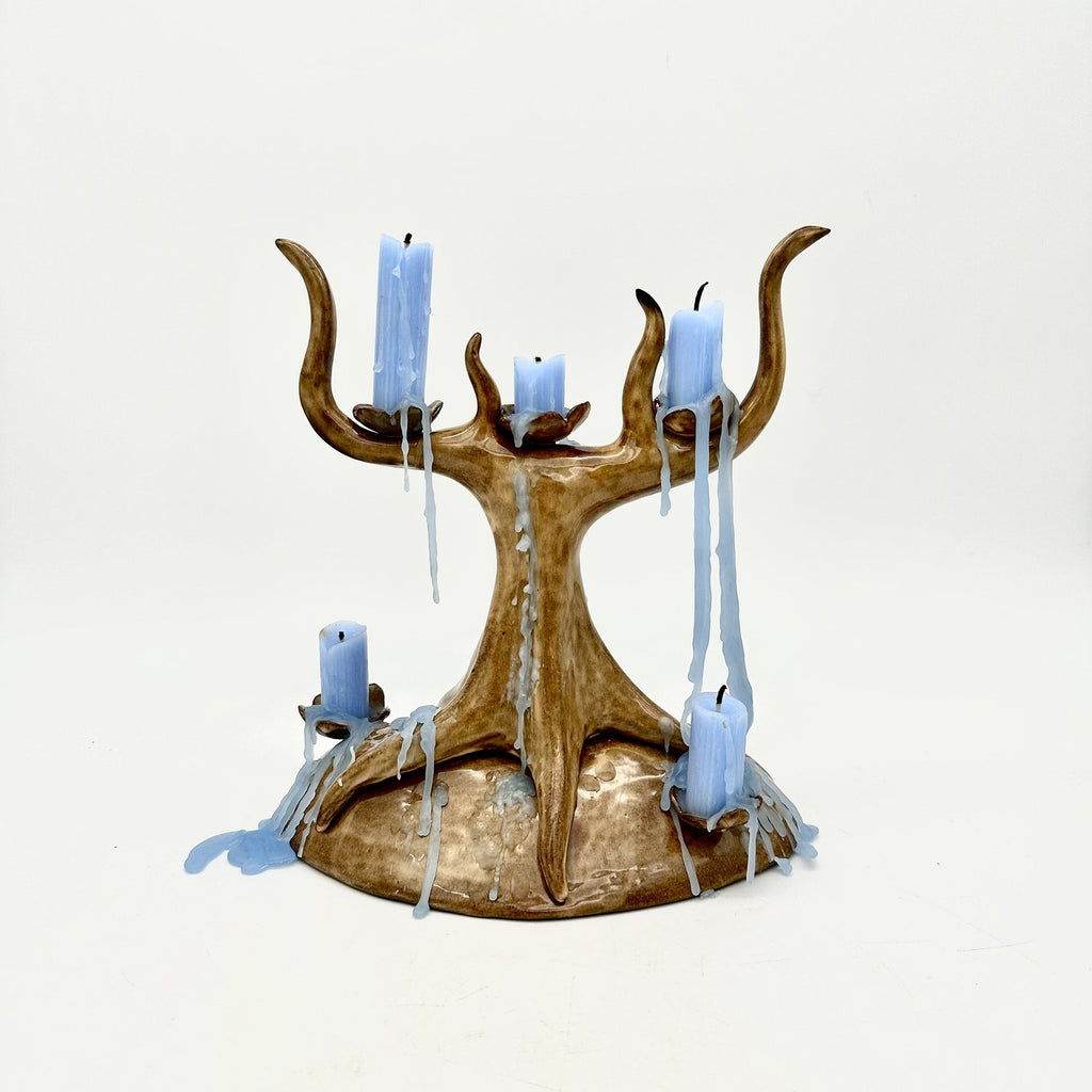 Independent Study with Zoey McLeod