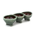 Green Pod Dish
