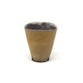 Triangle Cup