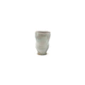 Snow Cup 6