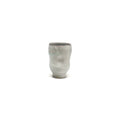 Snow Cup 8