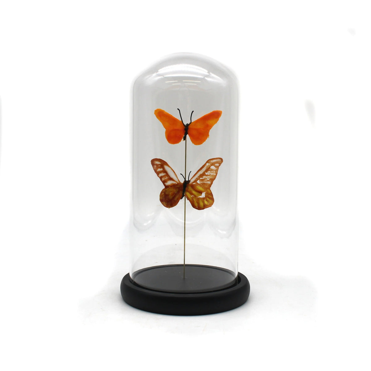 Double Butterfly