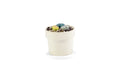 Planter Cup