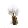 Driftwood Light