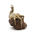Rigor's Stone