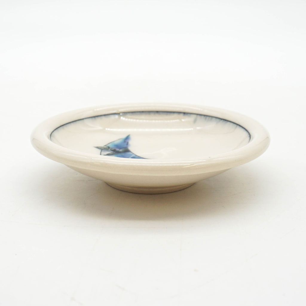 Bluejay Dish