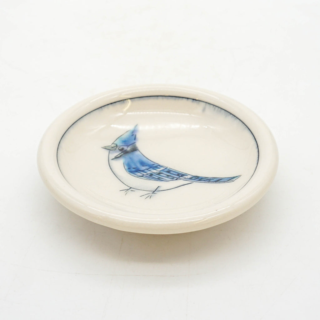 Bluejay Dish