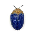 Insect Wall Vase: Blue &amp; Brown