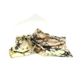 Lichen