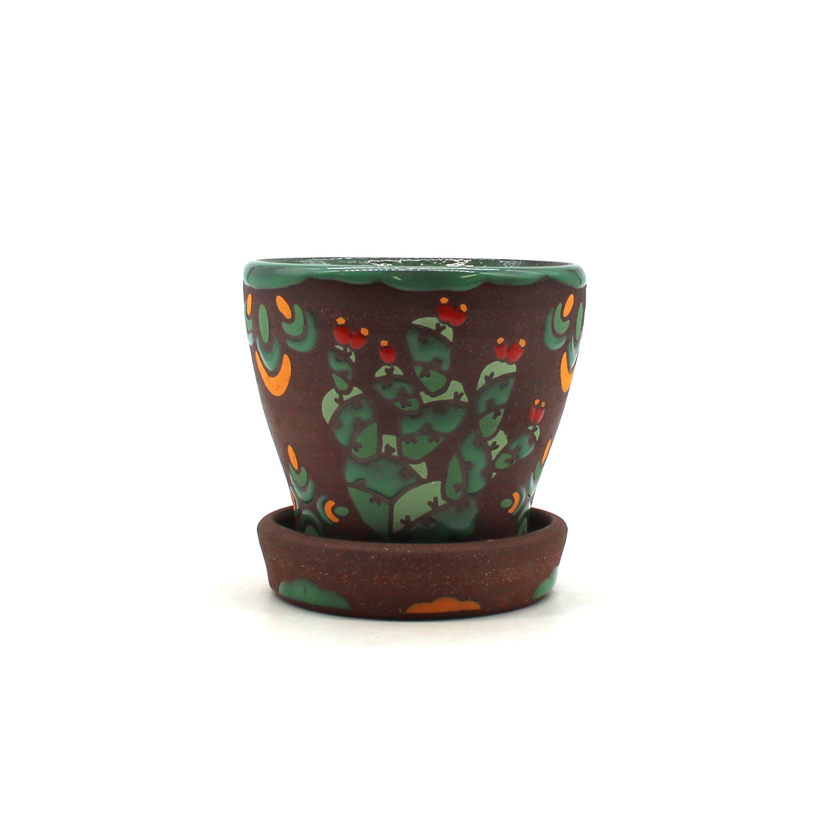 Cactus Planter