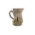 Pitcher
