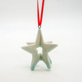 3D Bermuda Star