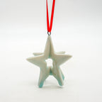 3D Bermuda Star