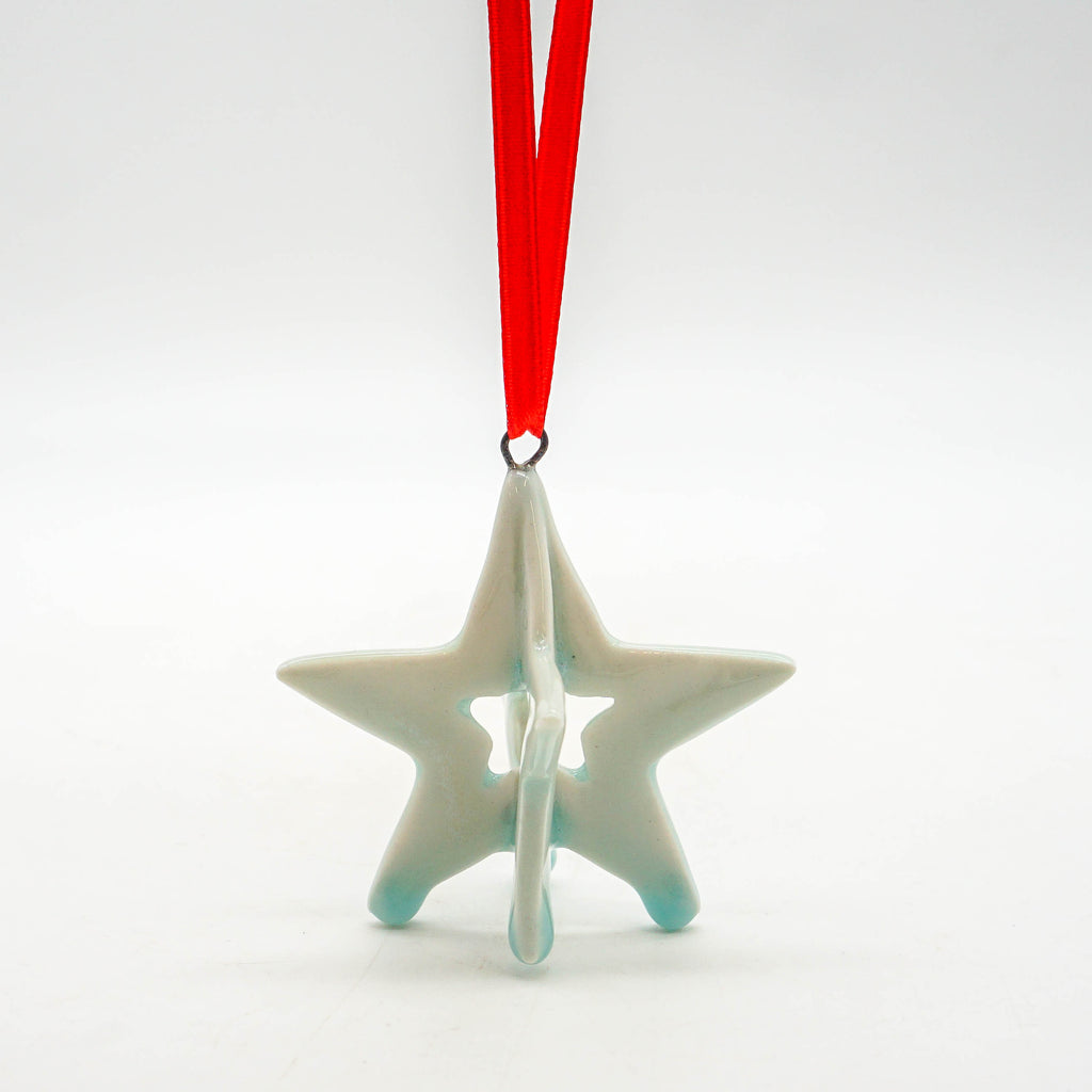 3D Bermuda Star