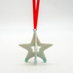 3D Bermuda Star