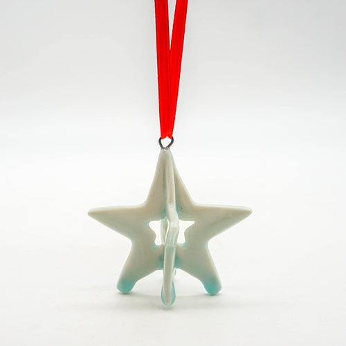 3D Bermuda Star