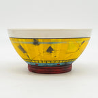 Spacetrash Bowl 425