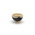 Shipwreck Teabowl