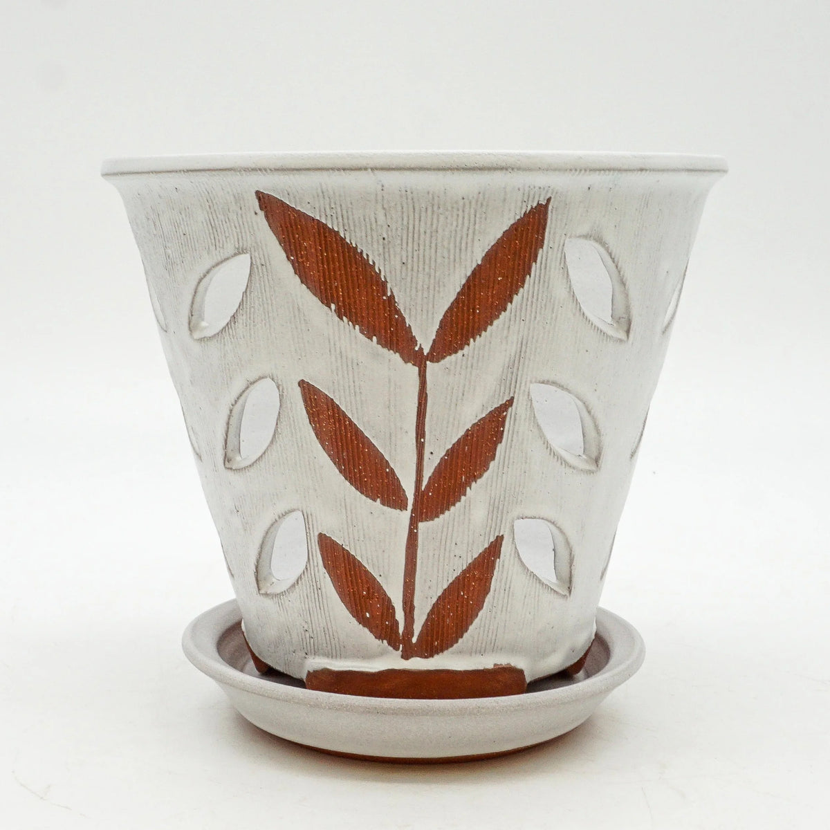 Orchid Planer