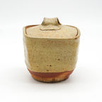 Lidded Jar - Wayne Branum