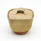 Lidded Jar - Wayne Branum