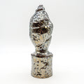 Spiral Shell