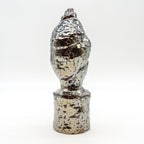 Spiral Shell