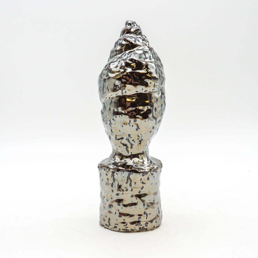 Spiral Shell