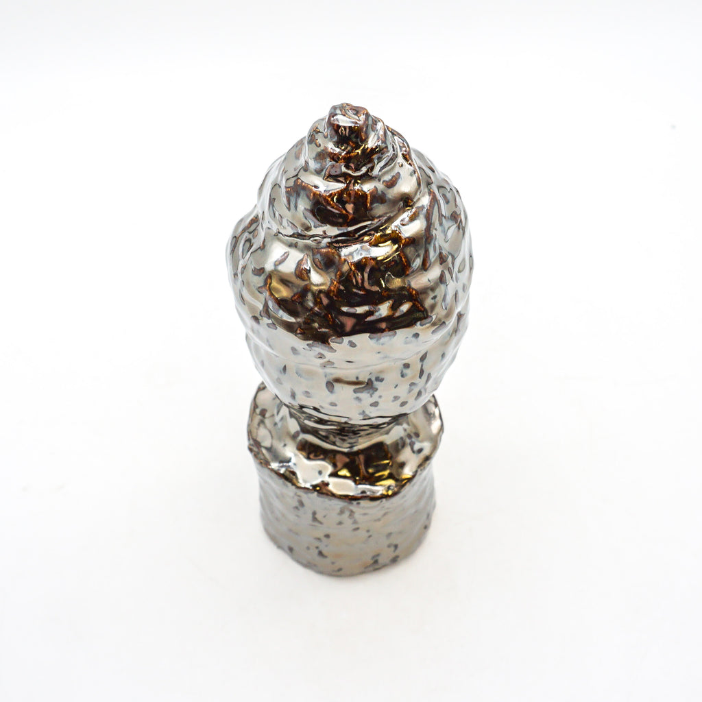 Spiral Shell