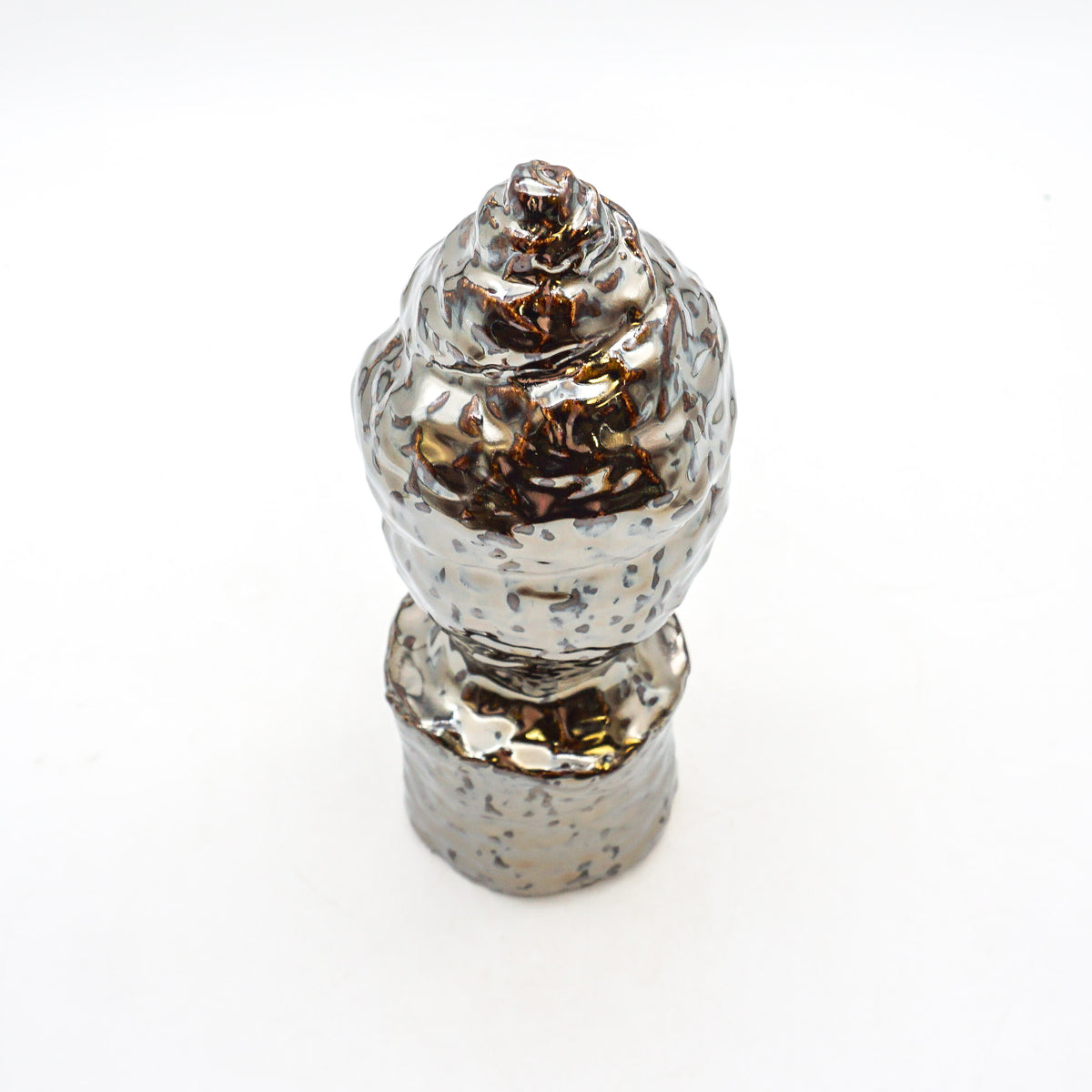 Spiral Shell
