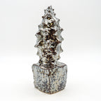 Spiky Shell