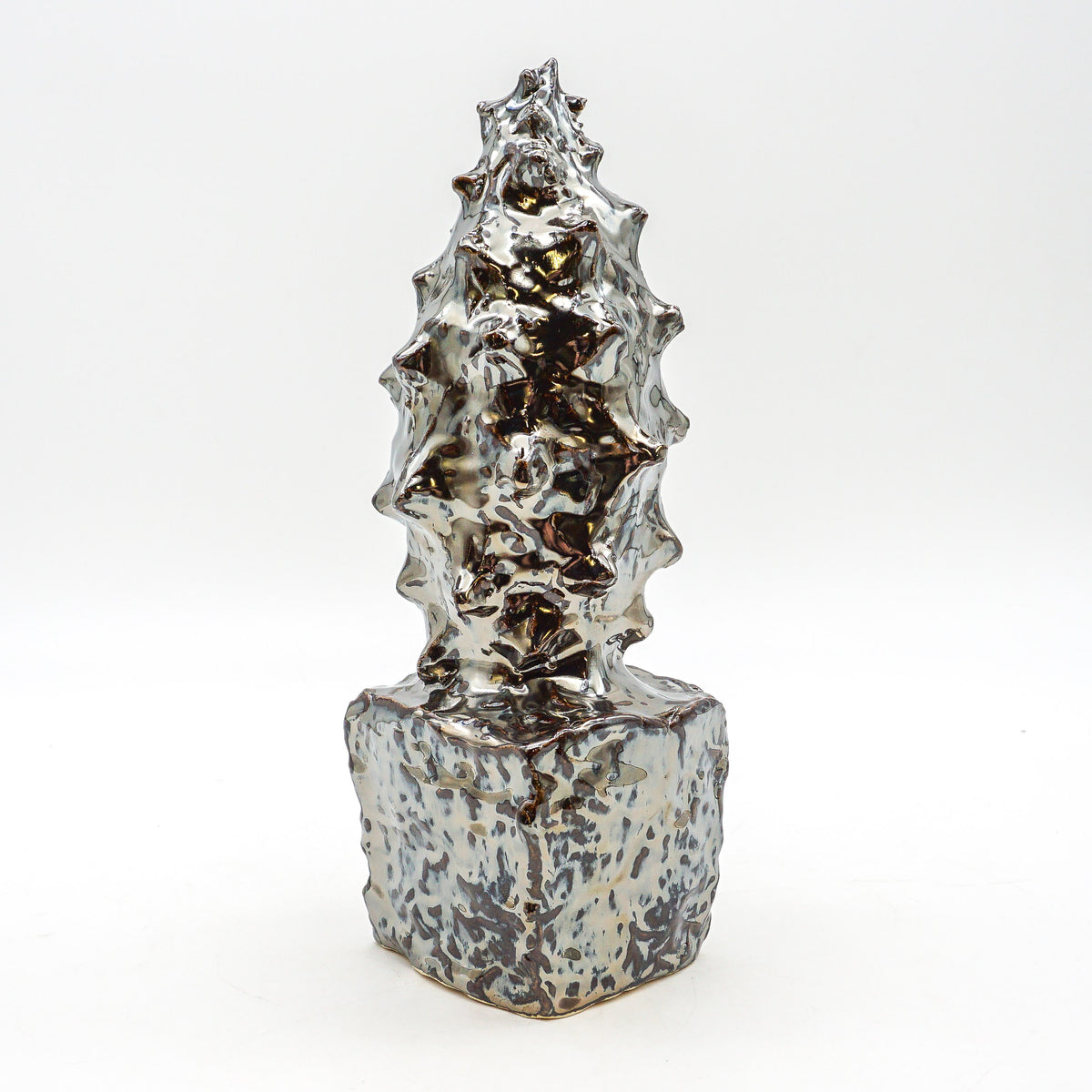 Spiky Shell