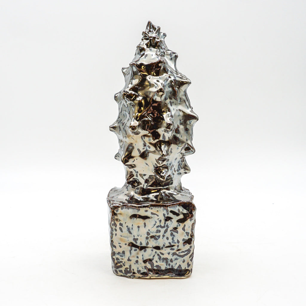 Spiky Shell